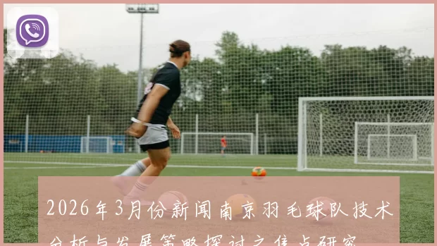 2026年3月份新闻南京羽毛球队技术分析与发展策略探讨之焦点研究