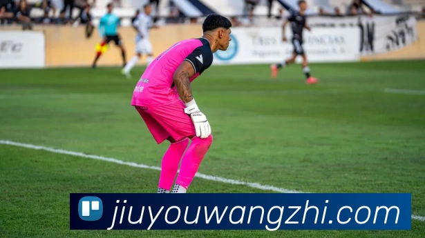 九游网址品牌故事