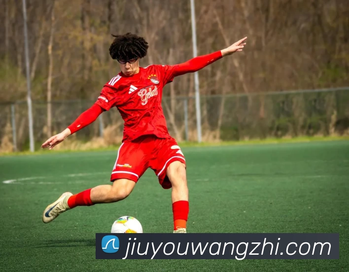 九游网址服务体系